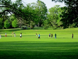 waterloo park